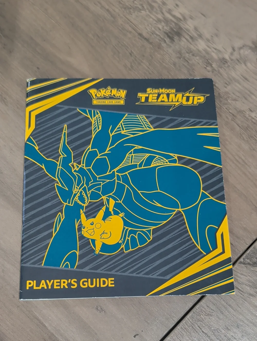 Pokemon official player’s